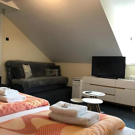 Gaestehaus Elzblick Bed & Breakfast 3*