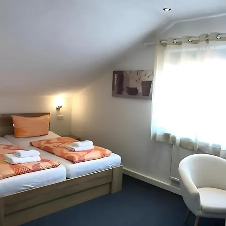 Gaestehaus Elzblick Bed & Breakfast 3*