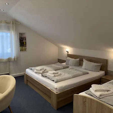 Bed & Breakfast Gaestehaus Elzblick 3*