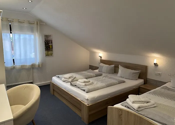 Bed & Breakfast Gaestehaus Elzblick 3*